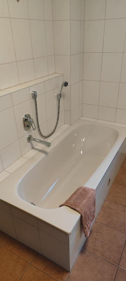 Ferienwohnung Zwischen Rhein Und Schwarzwald Bischweier Luaran gambar