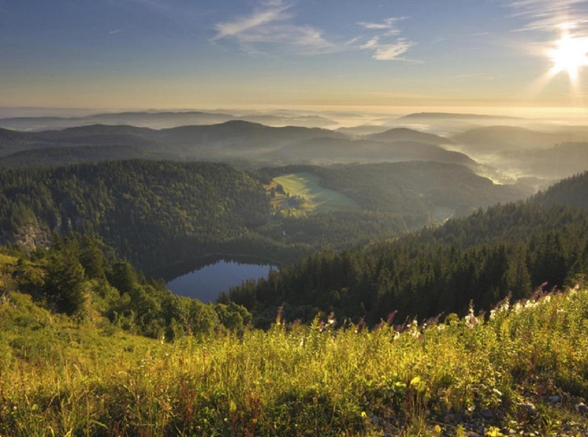 Ferienwohnung Zwischen Rhein Und Schwarzwald Bischweier Luaran gambar